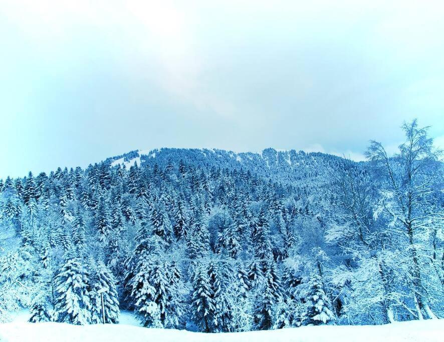 Logement 6 Pers Au Coeur Des Montagnes Pyreneennes Linge De Maison Et Papier Toilette Non Fournis Boutx ภายนอก รูปภาพ