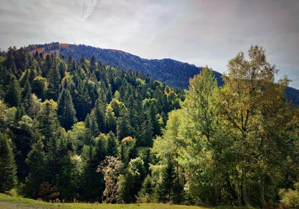Logement 6 Pers Au Coeur Des Montagnes Pyreneennes Linge De Maison Et Papier Toilette Non Fournis Boutx ภายนอก รูปภาพ